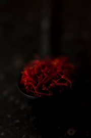 Saffraan sur zippora wiese