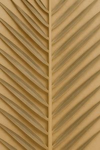 Textur eines goldenen Palmenblatts