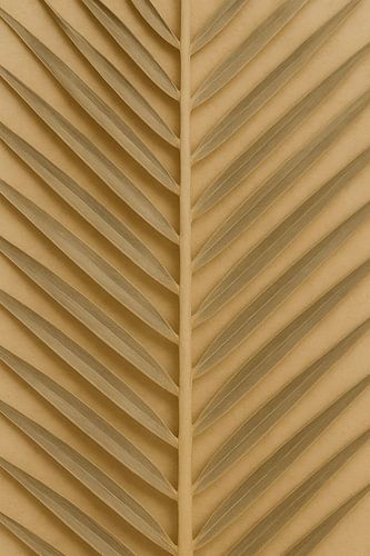 Texture d'une feuille de palmier doré