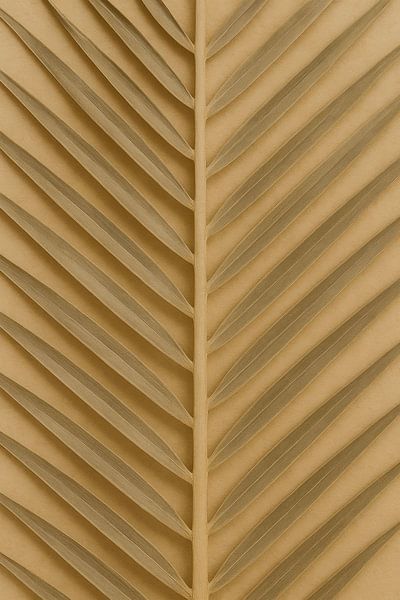 Textuur van een Goudgele Palmblad van But First Framing