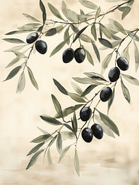 Olive Branch by IamHomeStudio