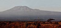 Kilimanjaro von Robert Styppa Miniaturansicht