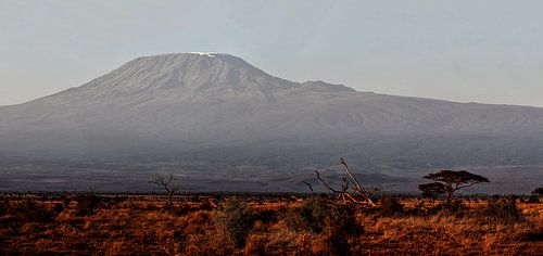 Kilimanjaro