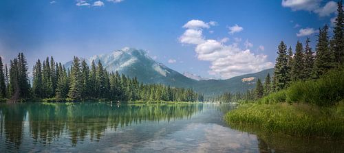Spiegeln Sie Bäume und Berge des blauen Himmels