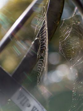 The Forgotten Sundial by Mr White Takes Pictures