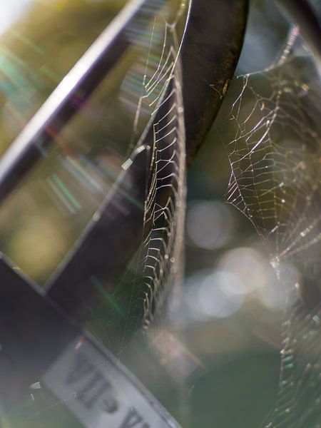 The Forgotten Sundial by Mr White Takes Pictures