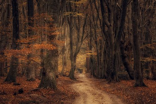 Herfst