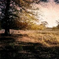 Presence III | Impressionistische Boom