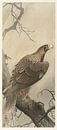 Adler auf einem Ast, Ohara Koson, 1900 - 1910 von Creative Masters Miniaturansicht