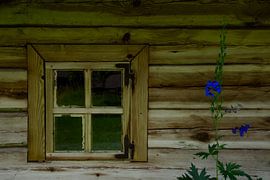 window with flower Estonia