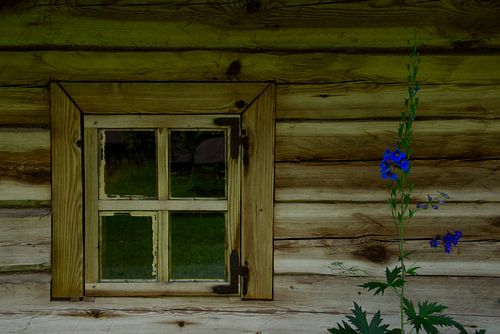 Raam met blauwe bloem