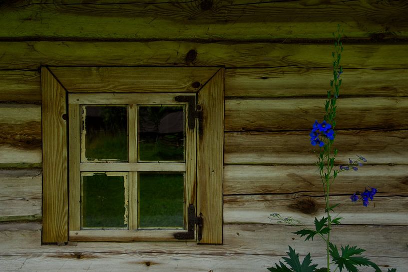 Fenster mit blaue blume von Hans Lok