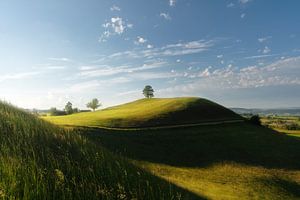 Paysage de collines