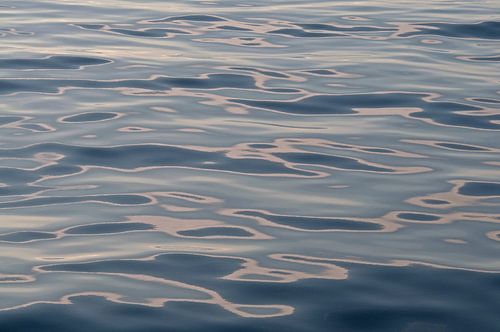 Patterns of Nature by Peter Zwitser