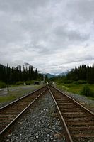Verlaten treinspoor