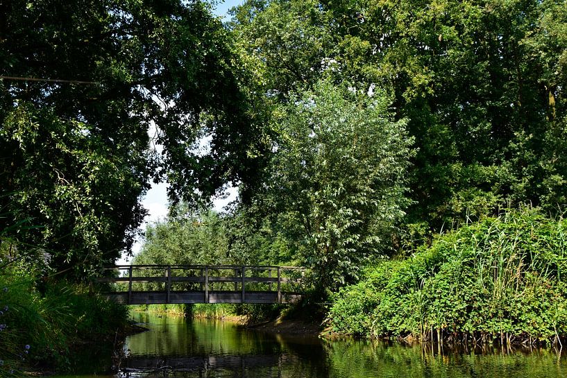 Natur in Oss von Kevin van Scherpenseel