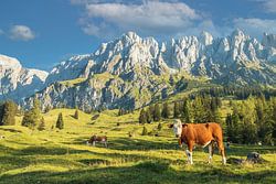 Muhlbach am Hochkönig