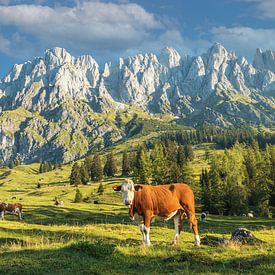 Muhlbach am Hochkönig in Oostenrijk van Ilya Korzelius