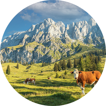 Muhlbach am Hochkönig in Oostenrijk van Ilya Korzelius