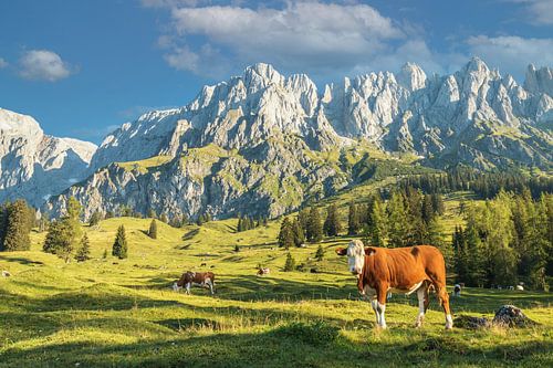 Muhlbach am Hochkönig in Oostenrijk