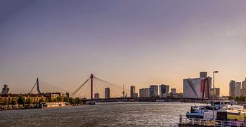 Rotterdam bij avondlicht