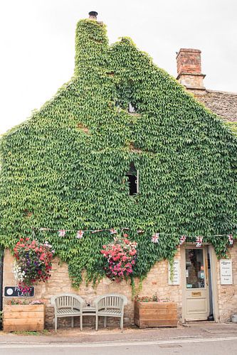Klimop Bedekte Engelse Pub.