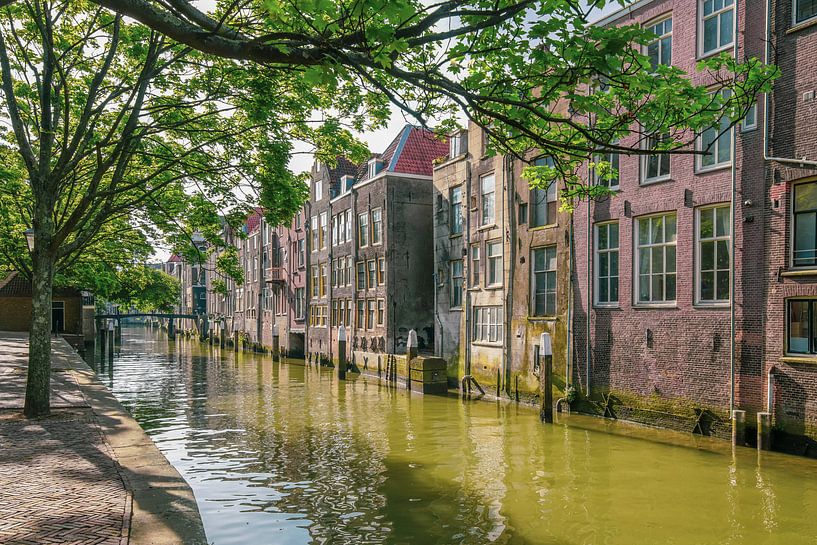 Beautiful Dordt by Dirk van Egmond