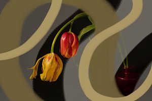 Formes de tulipes.