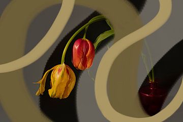 Tulip shapes. Graphic. van Alie Ekkelenkamp