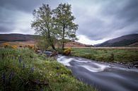Een klein riviertje in de Schotse Hooglanden van Marcel Keurhorst thumbnail