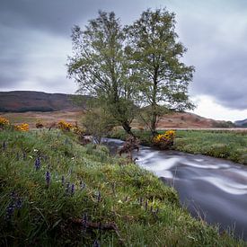 Une petite rivière dans les Highlands écossais sur Marcel Keurhorst