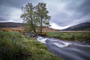 Ein kleiner Fluss in den schottischen Highlands von Marcel Keurhorst