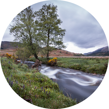 Een klein riviertje in de Schotse Hooglanden van Marcel Keurhorst