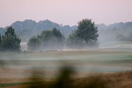 mistig weiland von Petra De Jonge