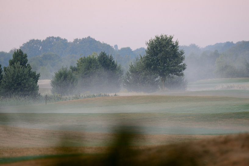 mistig weiland by Petra De Jonge