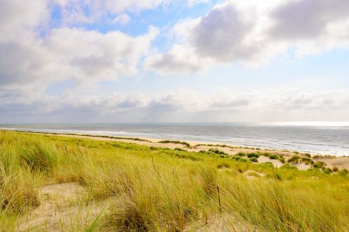 Zomer in de duinen aan het Noordzeestrand
