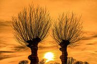 Zonsondergang tussen twee wilgenbomen in het Friese platteland van Harrie Muis thumbnail