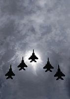 Formation de l'aigle