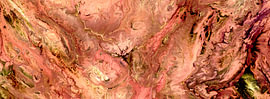 Rose Desert von shari-art