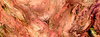 Rose Desert