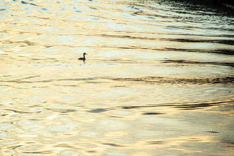 In a Big, Big world. van Brenda bonte