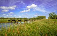 Landschaft mit schöner Aussicht