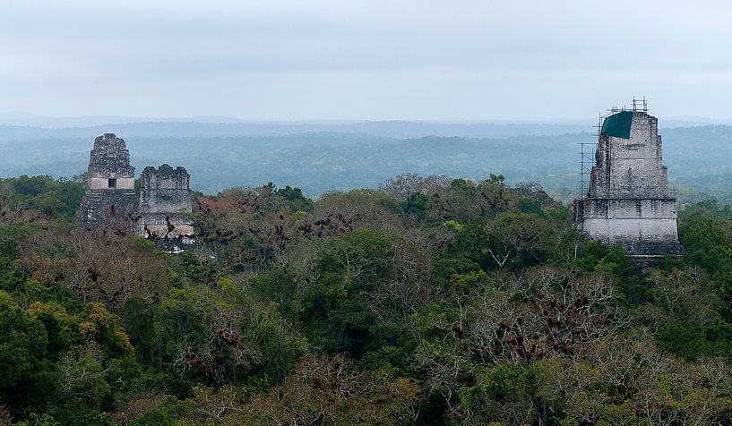 Guatemala: Tikal (Yax Mutal) by Maarten Verhees