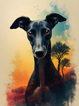 Die Seele des Galgos