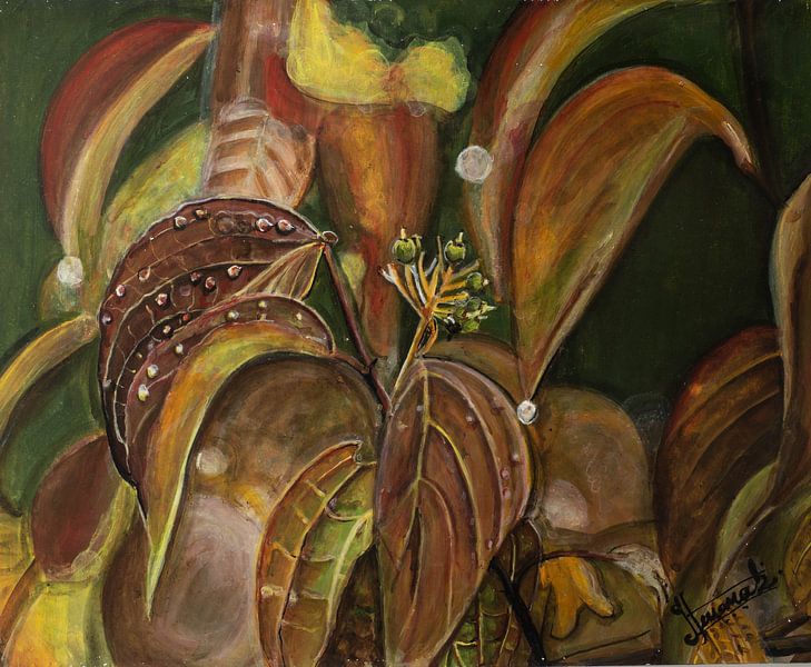 Wilde veldbloemen van Henk Goossens