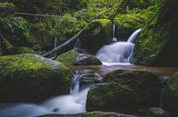 Gertelbach waterfall by Johan van Esch thumbnail