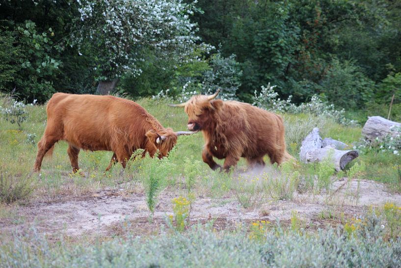 Hey... you there... by Shirley Douwstra