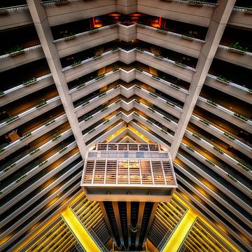Vertigo van Bram de Jong