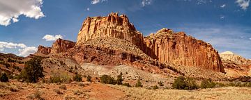 Capitol Reef National Park, Utah von Adelheid Smitt