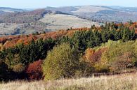 Blick vom Kreuzberg in Richtung Wasserkuppe von Martin Flechsig Miniaturansicht